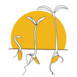 clipart cycle en terre germination